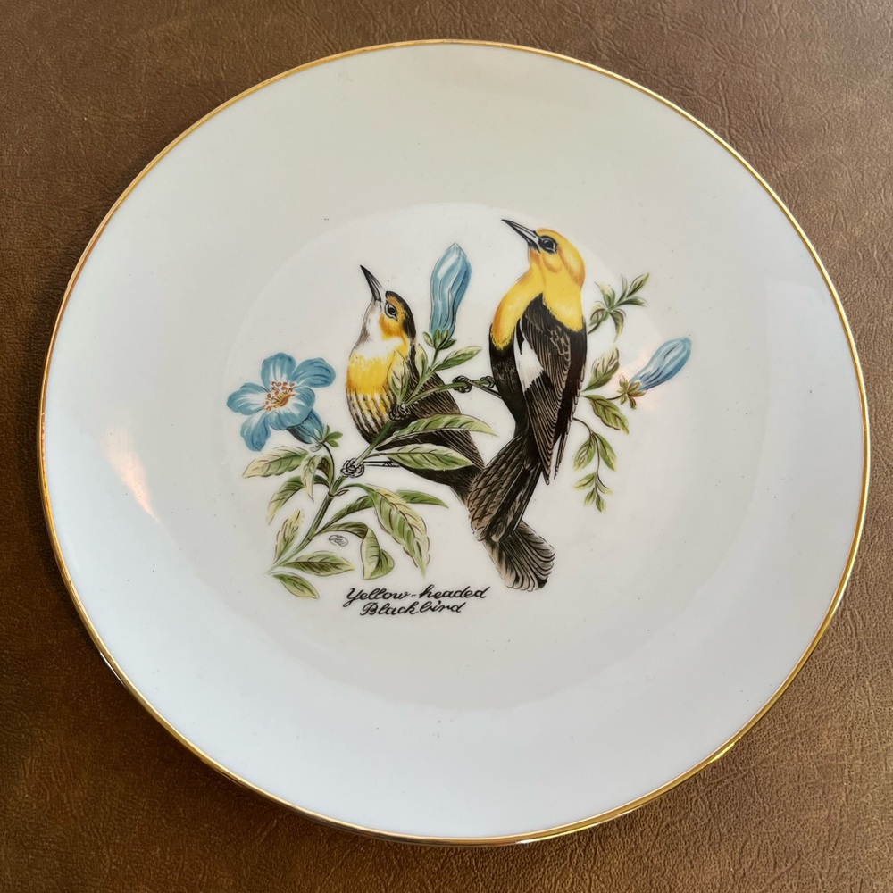 Vintage Set of Six Bareuther Waldsassen Porcelain Plates Featuring Birds - Picture 7 of 10